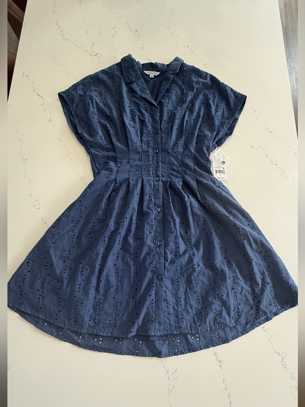 Ophelia Roe Blue Eyelet Button Front Dress — Size M, NWT
